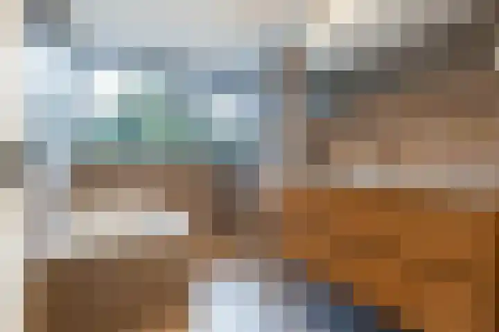 Callunalaan 3 Apeldoorn thumbnail 26