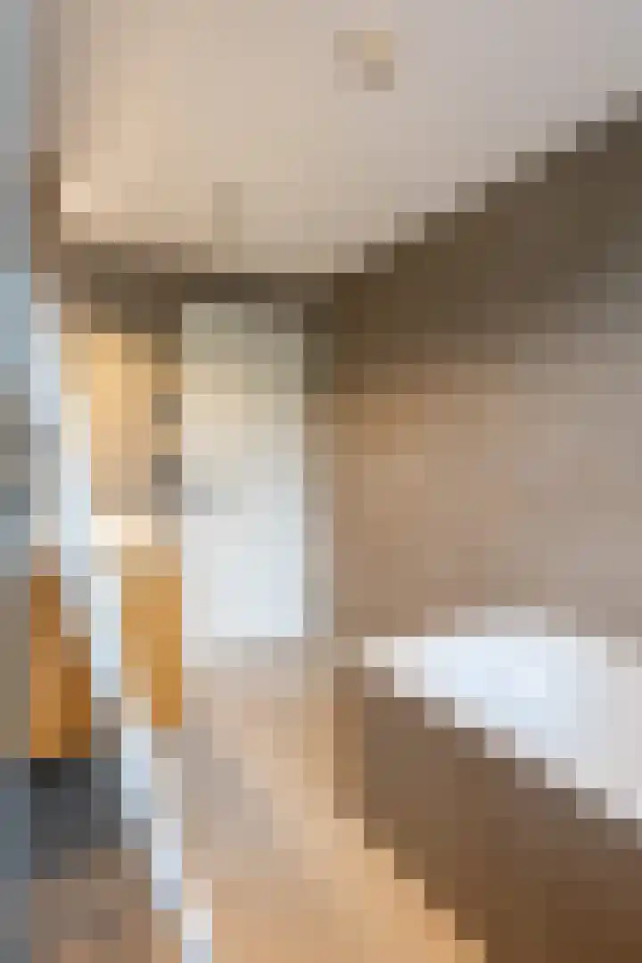 Callunalaan 3 Apeldoorn thumbnail 28