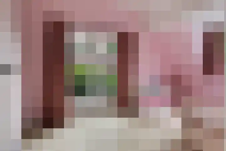 Callunalaan 3 Apeldoorn thumbnail 31