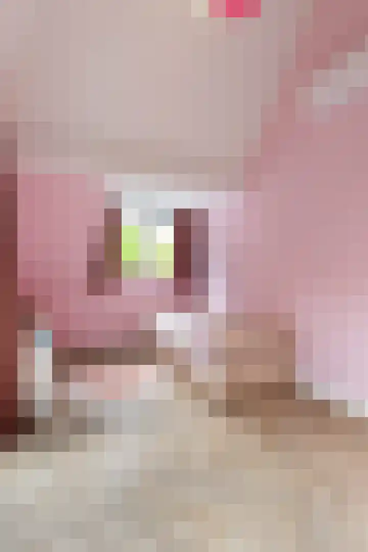 Callunalaan 3 Apeldoorn thumbnail 33