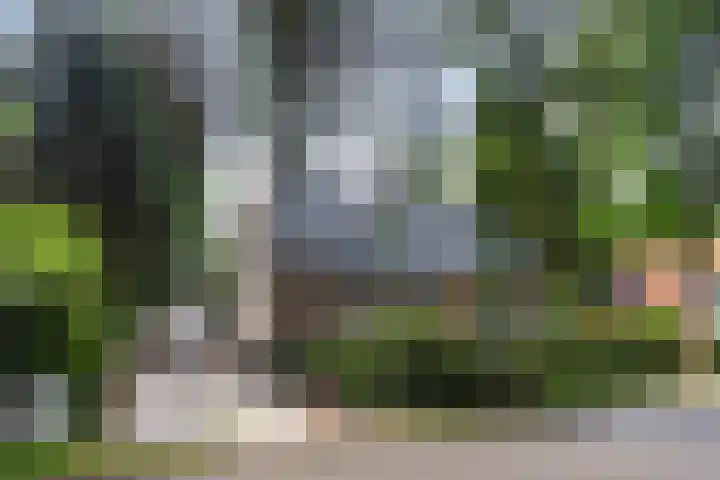 Callunalaan 3 Apeldoorn thumbnail 4