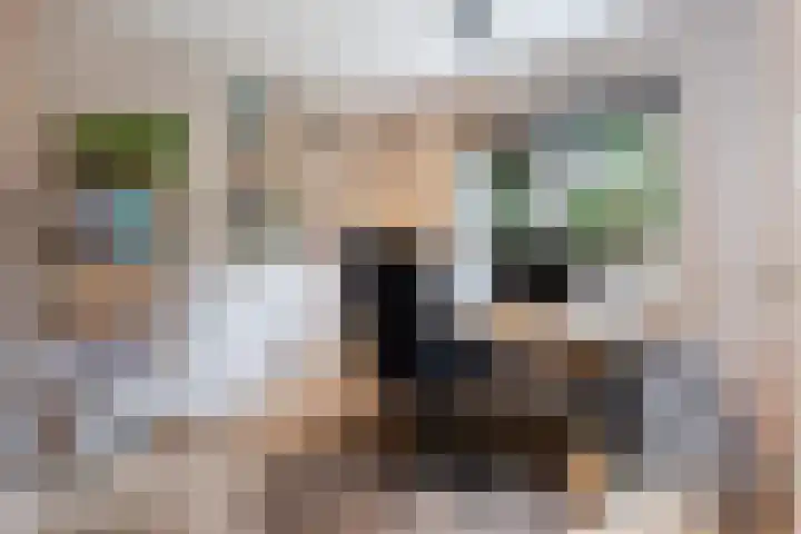 Callunalaan 3 Apeldoorn thumbnail 42