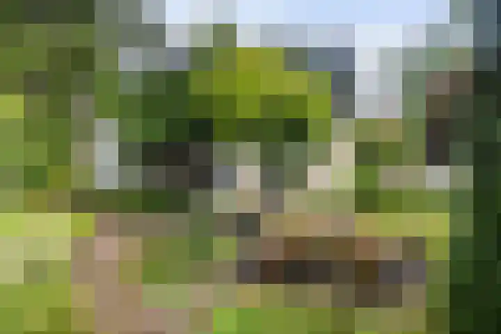Callunalaan 3 Apeldoorn thumbnail 46