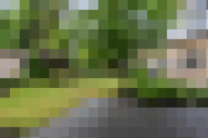 Callunalaan 3 Apeldoorn thumbnail 47