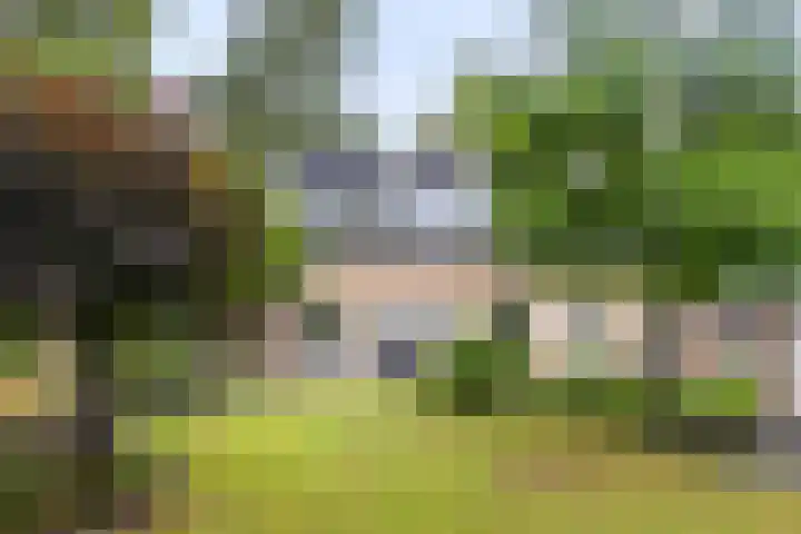 Callunalaan 3 Apeldoorn thumbnail 48