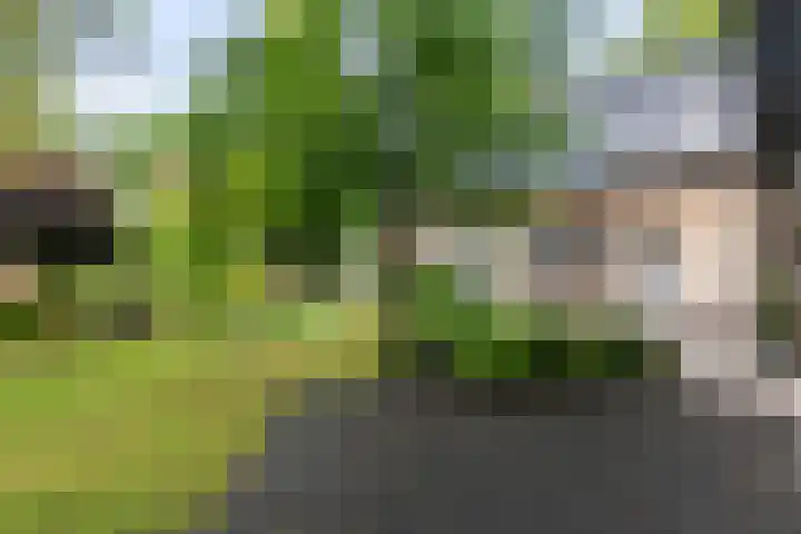 Callunalaan 3 Apeldoorn thumbnail 50