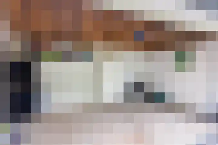 Callunalaan 3 Apeldoorn thumbnail 51