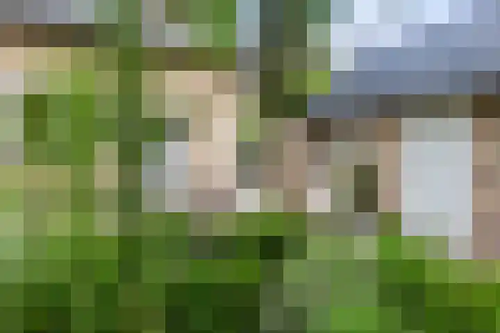 Callunalaan 3 Apeldoorn thumbnail 52