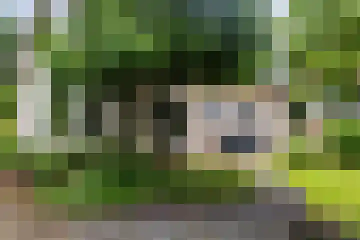Callunalaan 3 Apeldoorn thumbnail 55