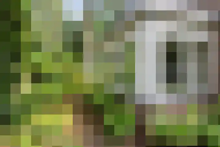 Callunalaan 3 Apeldoorn thumbnail 56