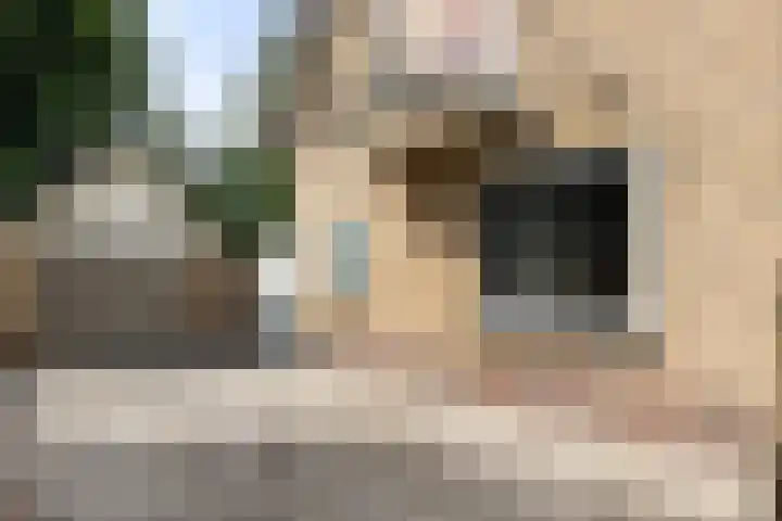Callunalaan 3 Apeldoorn thumbnail 57