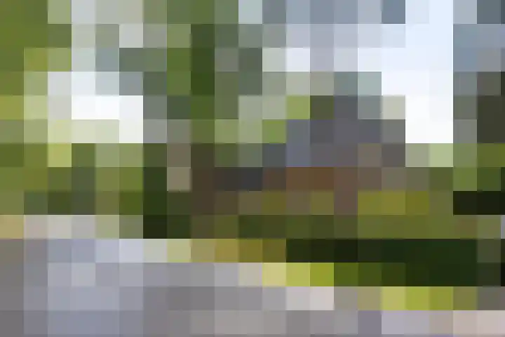 Callunalaan 3 Apeldoorn thumbnail 58