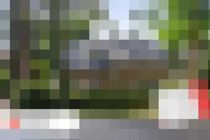 Callunalaan 3 Apeldoorn thumbnail 59