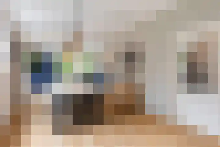 Callunalaan 3 Apeldoorn thumbnail 6