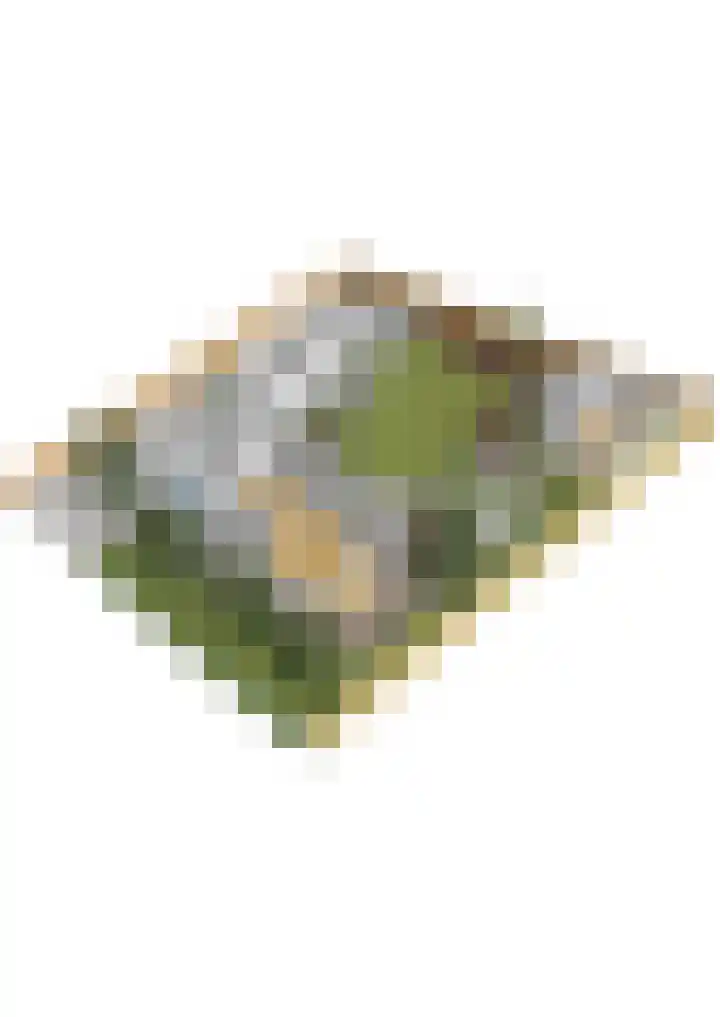Callunalaan 3 Apeldoorn thumbnail 68