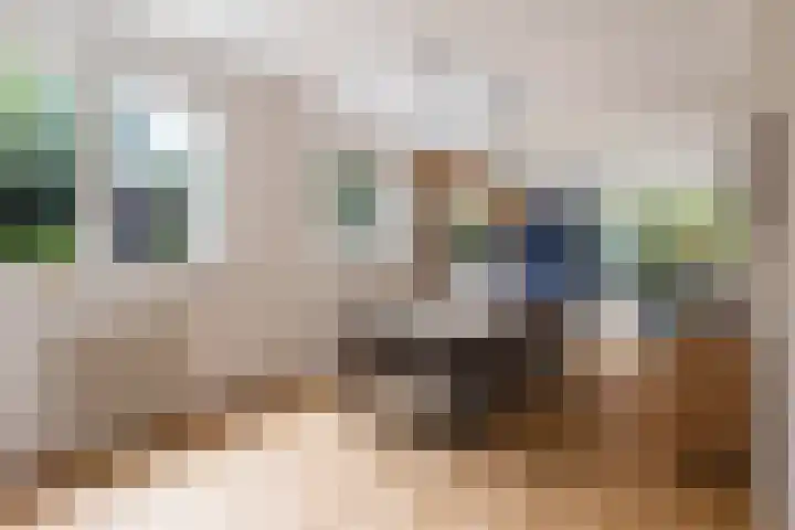 Callunalaan 3 Apeldoorn thumbnail 7