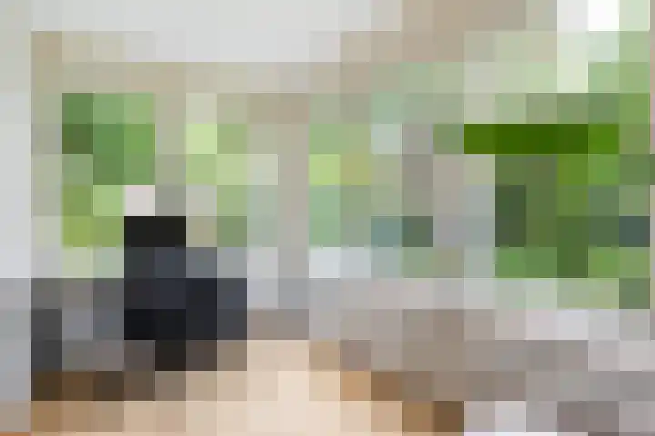 Callunalaan 3 Apeldoorn thumbnail 9