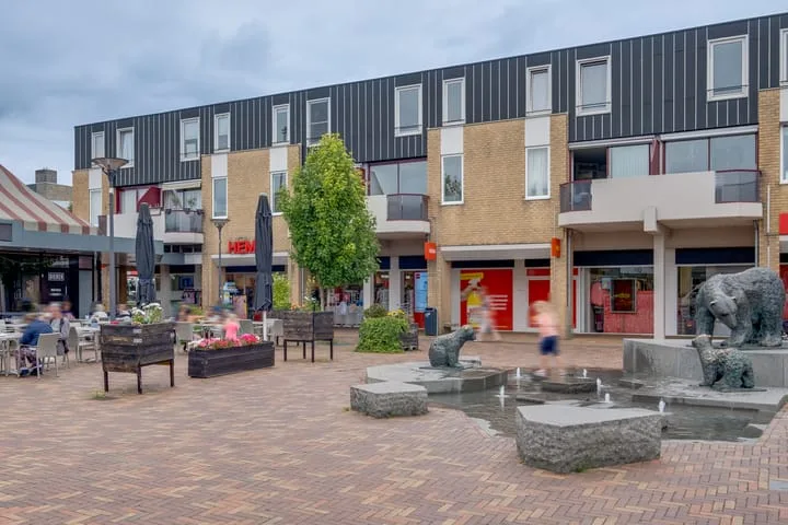 Callunaplein 100 in Dieren