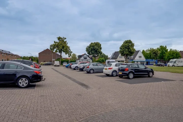 Callunaplein 100 Dieren thumbnail 34