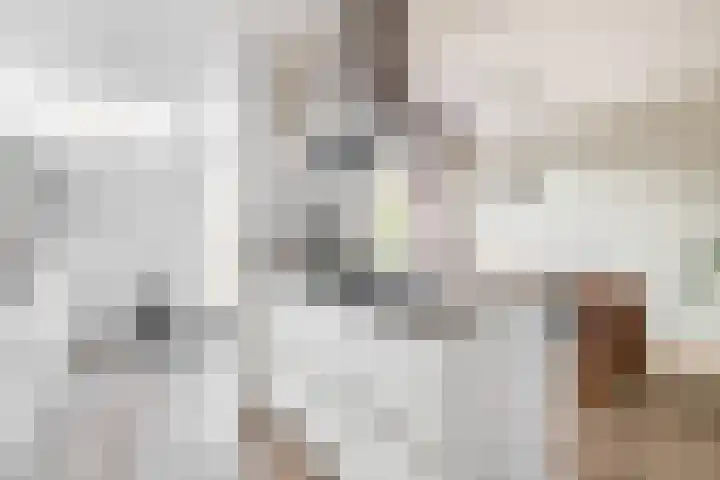 Callunastraat 15 Arnhem thumbnail 11