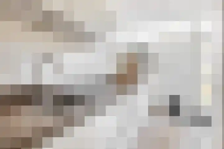 Callunastraat 15 Arnhem thumbnail 12