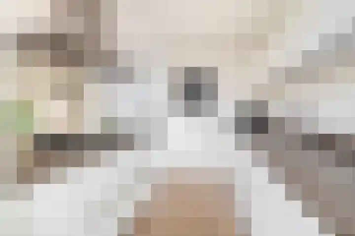 Callunastraat 15 Arnhem thumbnail 13