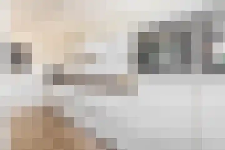Callunastraat 15 Arnhem thumbnail 14