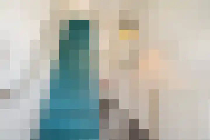 Callunastraat 15 Arnhem thumbnail 18