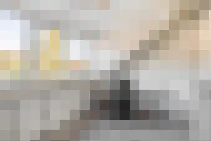 Callunastraat 15 Arnhem thumbnail 30