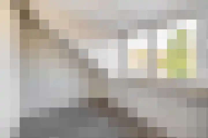 Callunastraat 15 Arnhem thumbnail 31