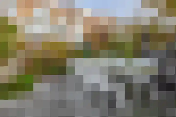 Callunastraat 15 Arnhem thumbnail 34