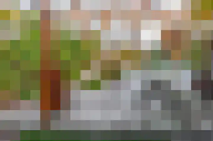 Callunastraat 15 Arnhem thumbnail 35