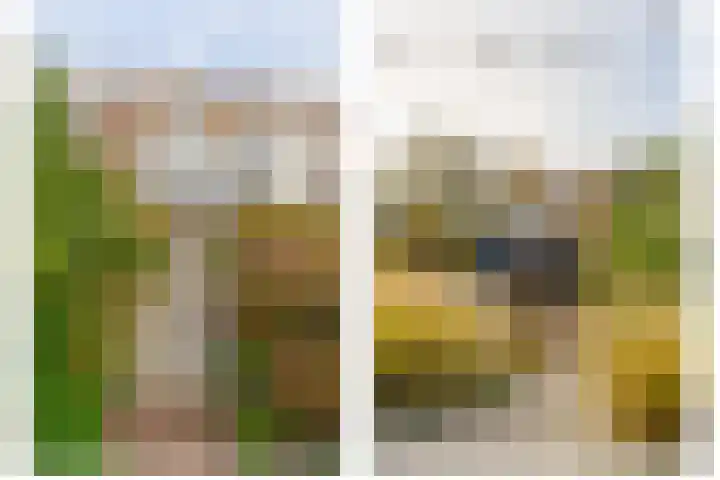 Callunastraat 15 Arnhem thumbnail 36