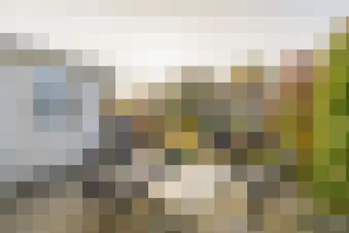 Callunastraat 15 Arnhem thumbnail 37