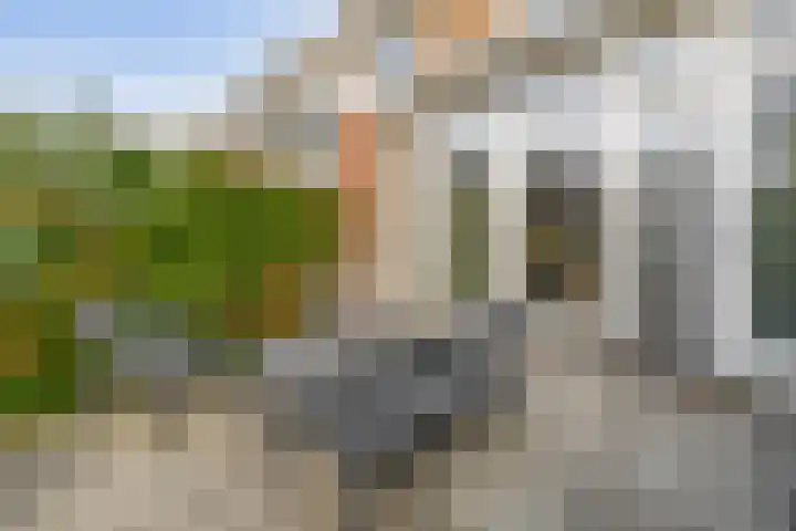 Callunastraat 15 Arnhem thumbnail 39
