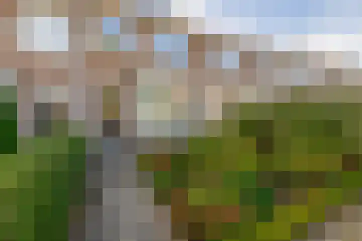 Callunastraat 15 Arnhem thumbnail 4