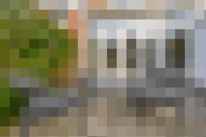 Callunastraat 15 Arnhem thumbnail 40