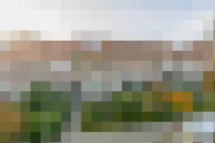 Callunastraat 15 Arnhem thumbnail 44