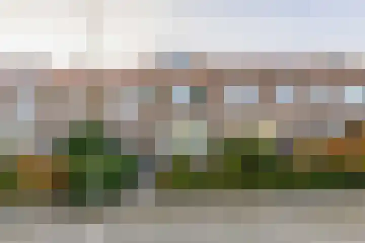 Callunastraat 15 Arnhem thumbnail 45
