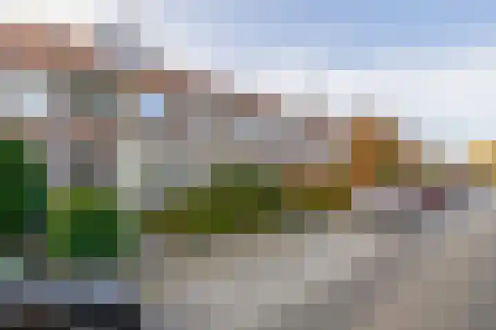Callunastraat 15 Arnhem thumbnail 46
