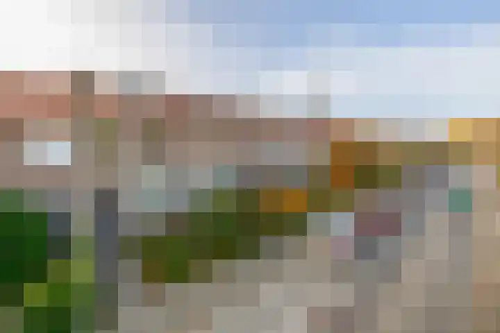 Callunastraat 15 Arnhem thumbnail 47