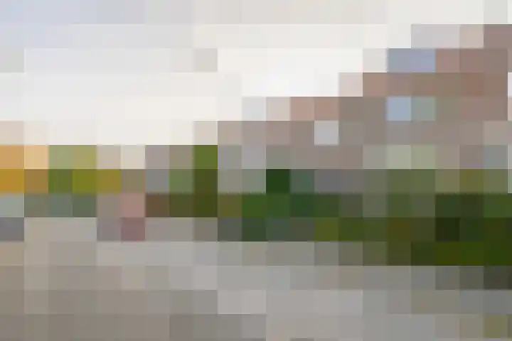 Callunastraat 15 Arnhem thumbnail 48