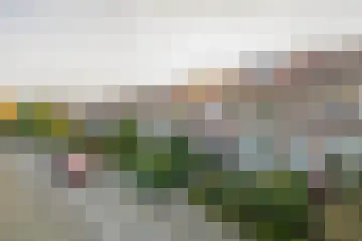 Callunastraat 15 Arnhem thumbnail 49