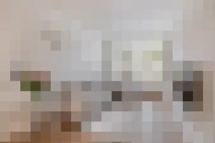 Callunastraat 15 Arnhem thumbnail 5