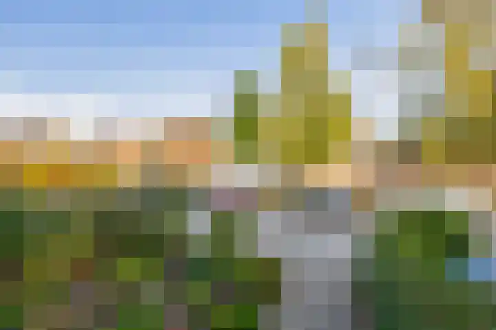 Callunastraat 15 Arnhem thumbnail 50