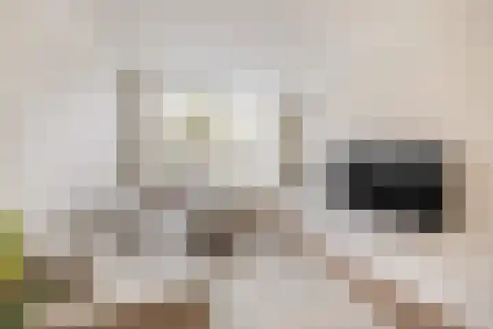 Callunastraat 15 Arnhem thumbnail 6