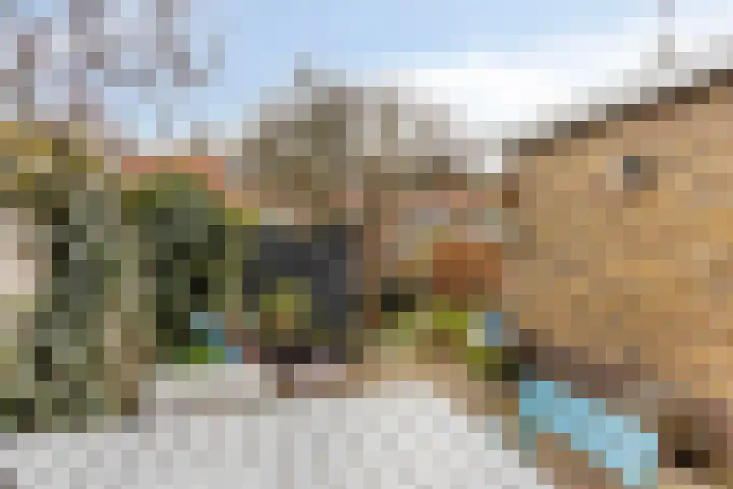 Callunastraat 45 Arnhem thumbnail 30