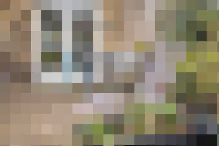 Callunastraat 45 Arnhem thumbnail 31