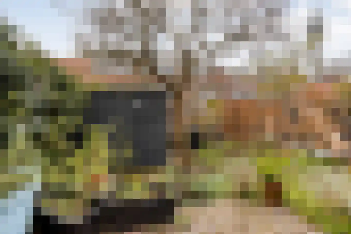 Callunastraat 45 Arnhem thumbnail 32