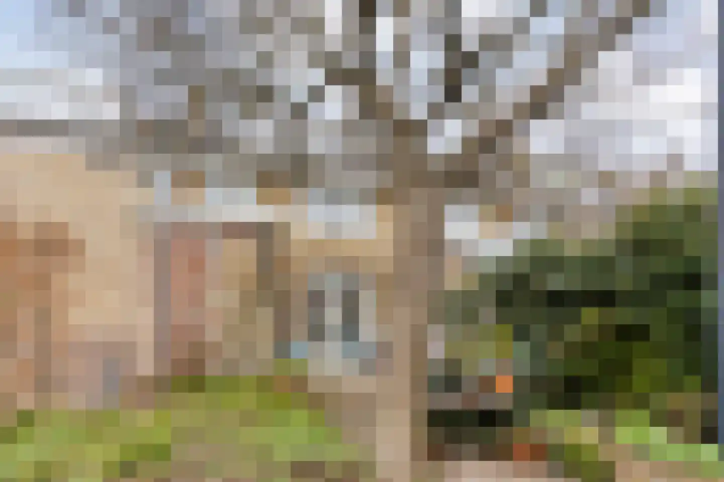 Callunastraat 45 Arnhem thumbnail 34